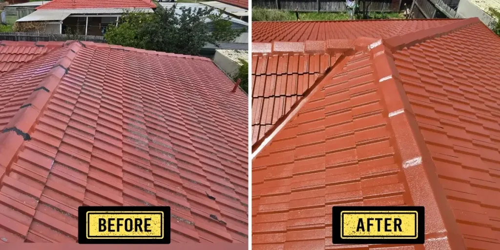 Roof Painting